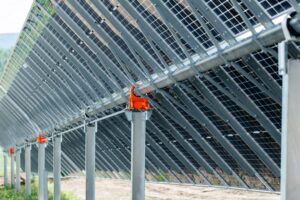 “Foto: Shutterstock”