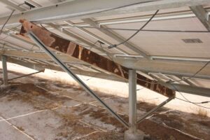 “Foto cortesía: PI Berlin”