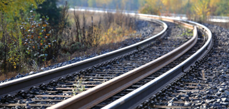 “Consideraciones Metalúrgicas de los Aceros Perlíticos para raíles de Tren Alta Velocidad”