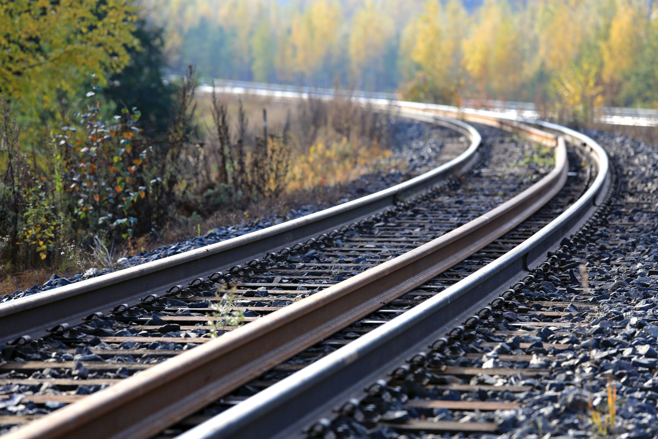 “Consideraciones Metalúrgicas de los Aceros Perlíticos para raíles de Tren Alta Velocidad”