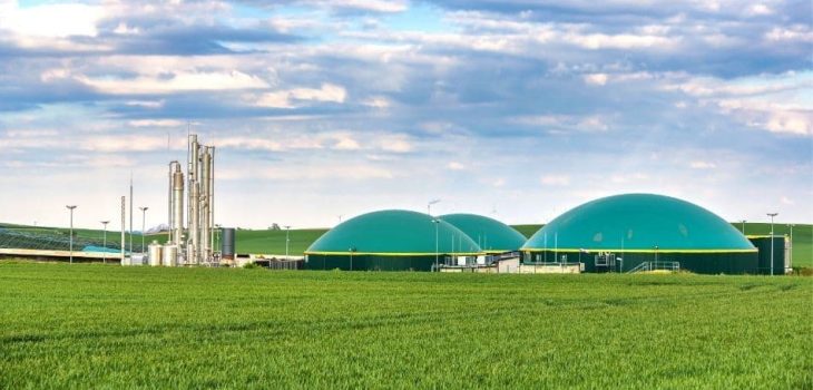 El biometano podría cubrir una demanda industrial de 35.000 millones de metros cúbicos en Europa en 2050